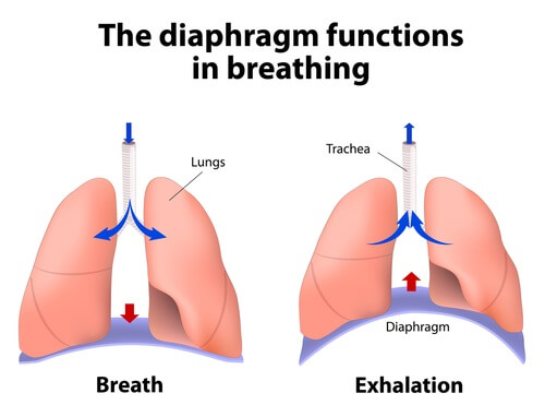 breathing for sports performance