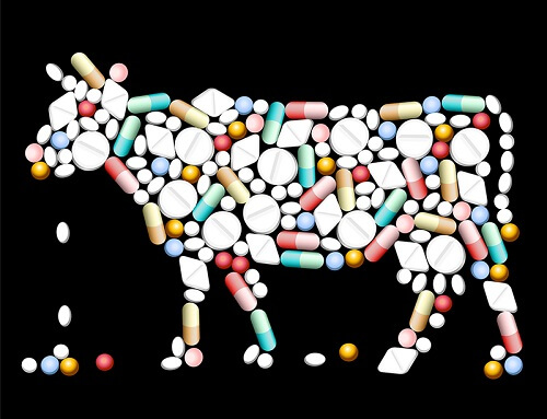 antibiotics in meat