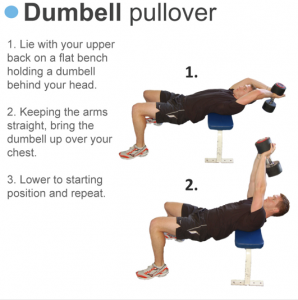 Abdominal Exercises Dumbell-Pullover