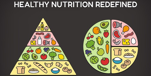 Nutrition for Each Stage of Life